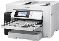Epson EcoTank Pro ET-M16680