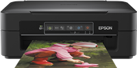 Epson Expression Home XP-245