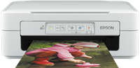 Epson Expression Home XP-247