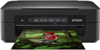 Epson Expression Home XP-255