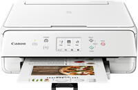 Canon PIXMA TS6251