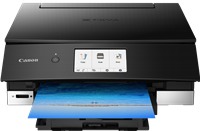 Canon PIXMA TS8250