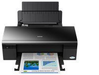 Epson Stylus D120