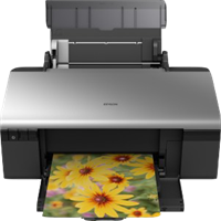 Epson Stylus Photo R285