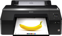 Epson SureColor SC-P5000 STD