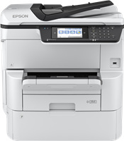 Epson WorkForce Pro WF-C878RDWF BAM
