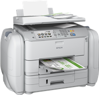 Epson WorkForce Pro WF-R5690 DTWF Flex BAM